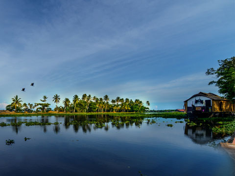 4 Days Alleppey Holiday Package