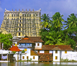 Top tour operator in Kerala