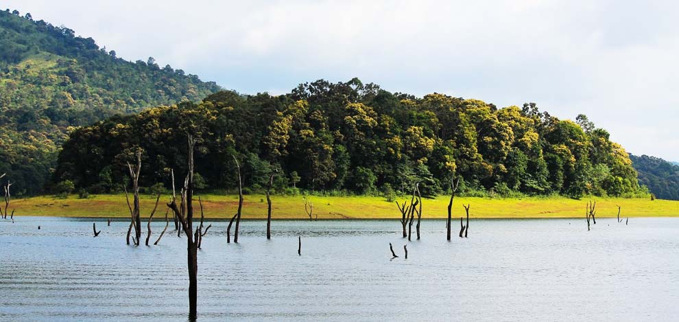 Periyar: Tour operators in kerala