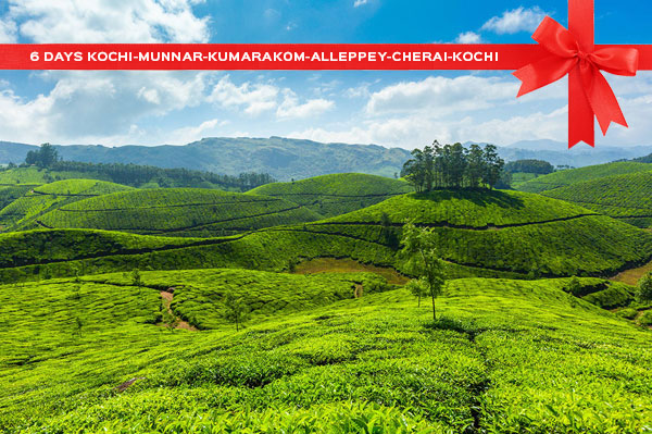 Kerala tour package offers Munnar