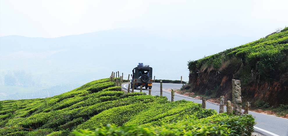 6 Days Munnar Cherai Kochi holiday packages